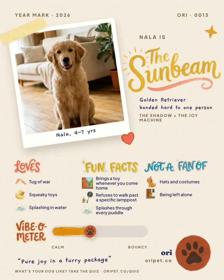 A sample personality card: Nala is The Sunbeam